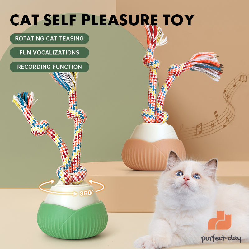 ROTATING BALL CAT TOY