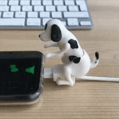Funny Dog Fast Charger