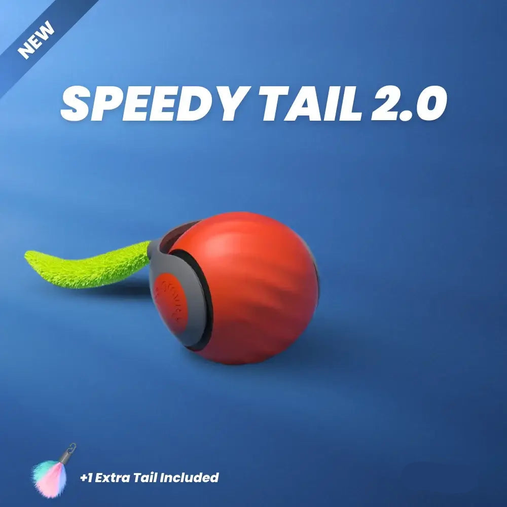 Multiple views of the Speedy Tail 2.0 interactive toy for cats