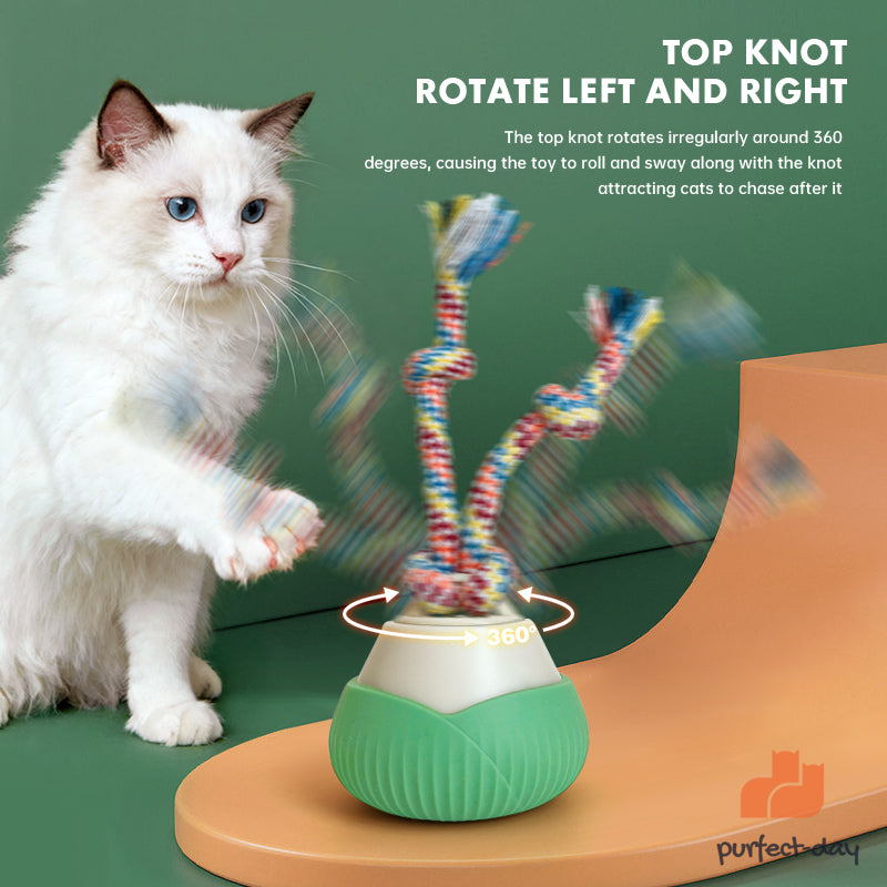ROTATING BALL CAT TOY