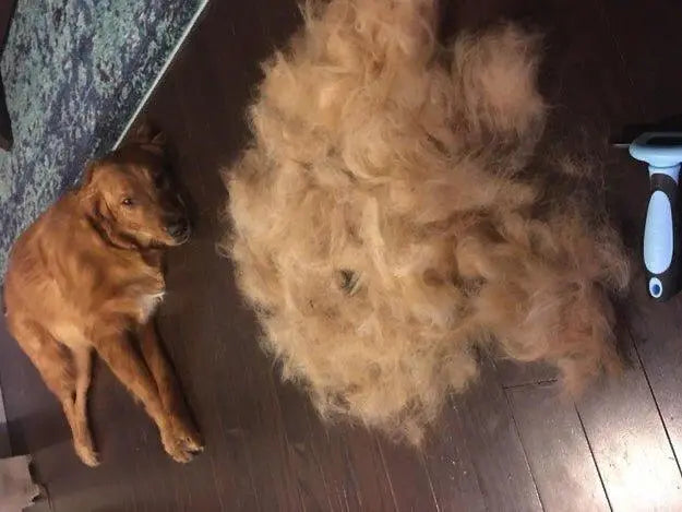 Brosse démêlante Pro™