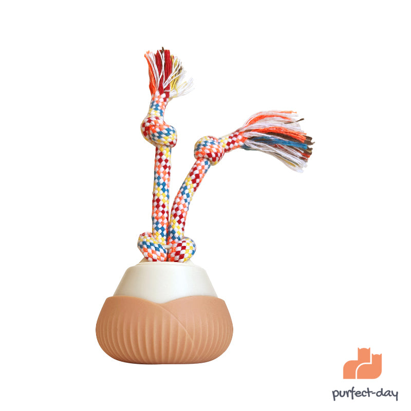 ROTATING BALL CAT TOY