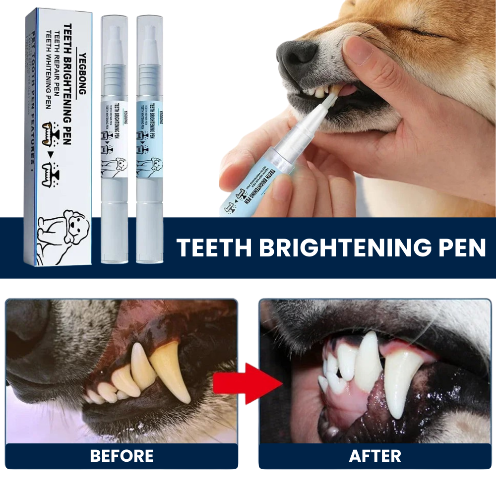 Stylo brosse à dents pour animaux de compagnie™