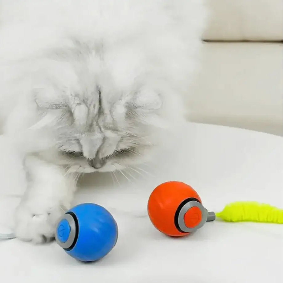 Cat playing with Speedy Tail 2.0 touch-activated toy on hardwood floor