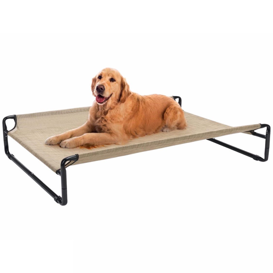 Lit surélevé pour chien