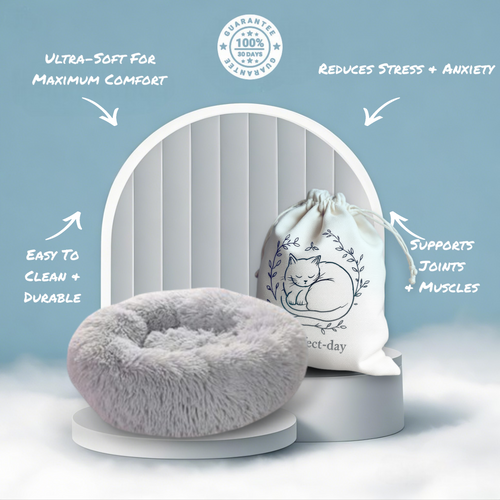 Calming Dog Bed