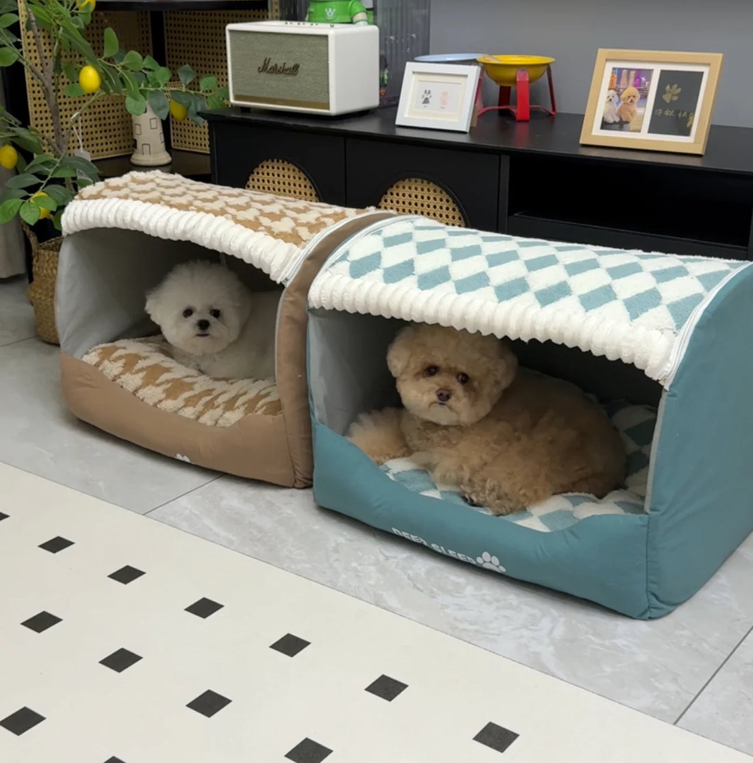 Niche Cozy Dog™
