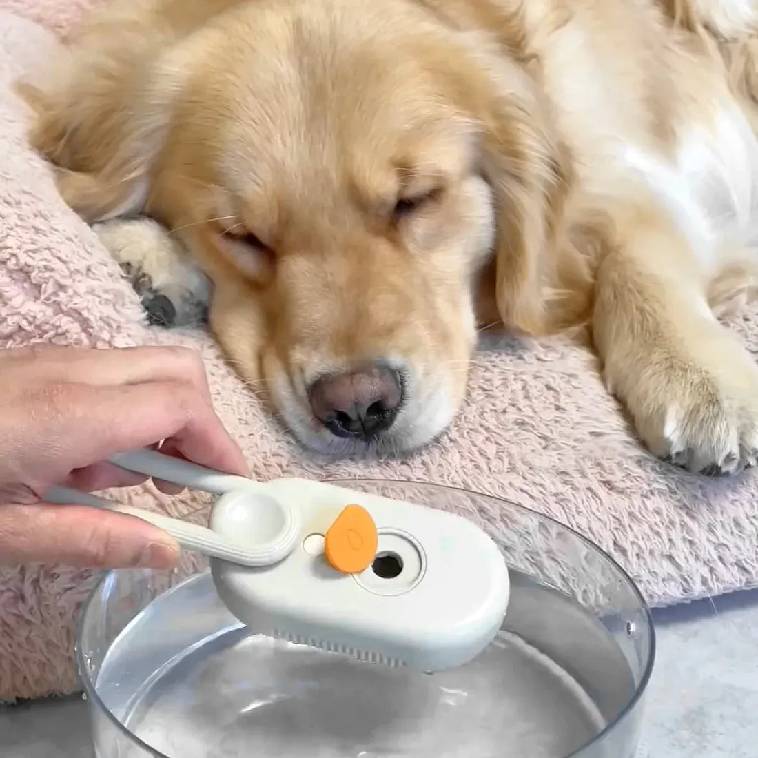 Brosse à vapeur 3 en 1 pour animaux de compagnie
