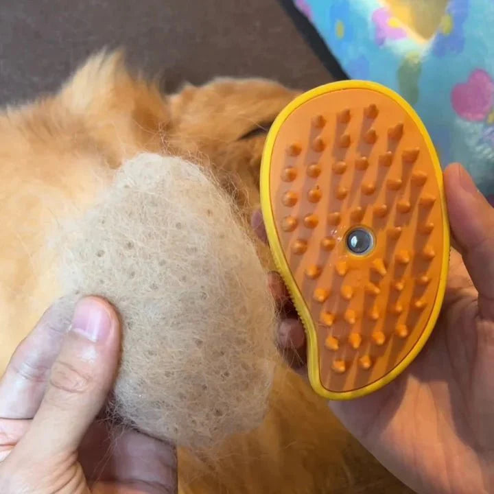 Brosse à vapeur pour animaux de compagnie™
