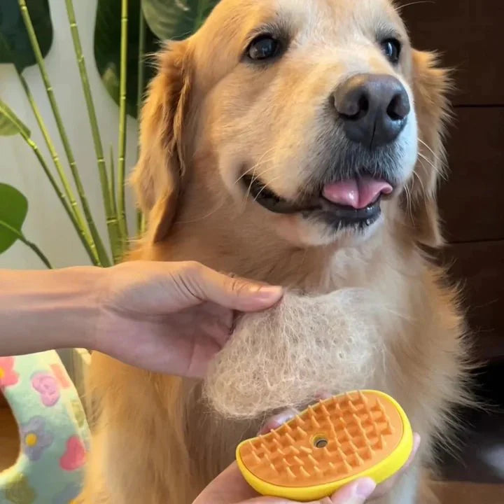 Brosse à vapeur pour animaux de compagnie™