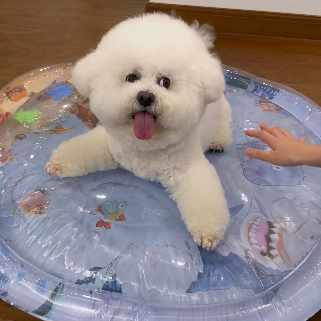 Lit à eau pour animaux de compagnie™