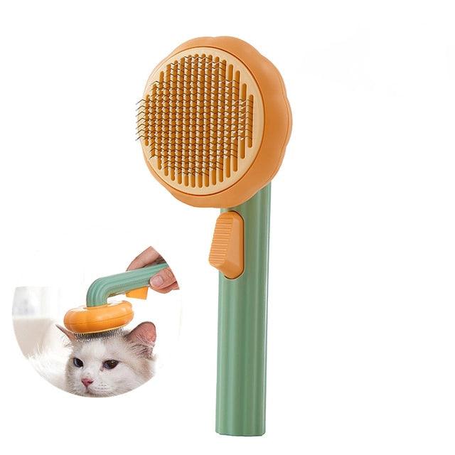 Brosse autonettoyante pour citrouille