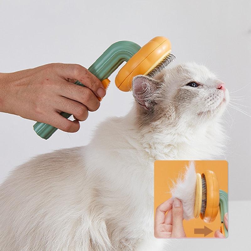 Brosse autonettoyante pour citrouille