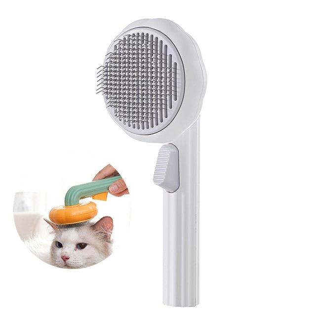 Brosse autonettoyante pour citrouille