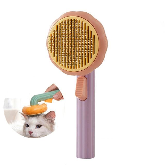 Brosse autonettoyante pour citrouille