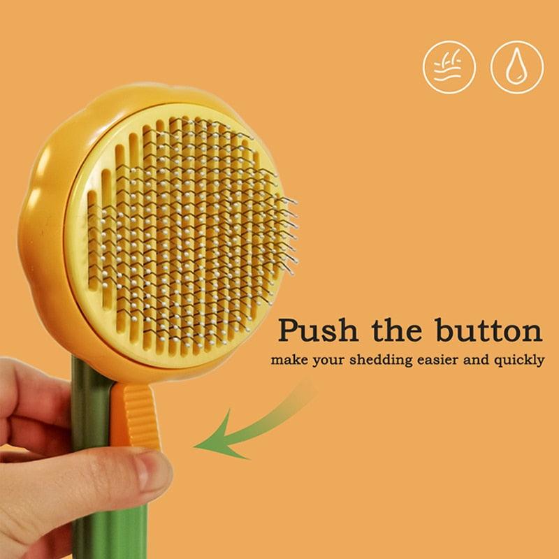 Brosse autonettoyante pour citrouille