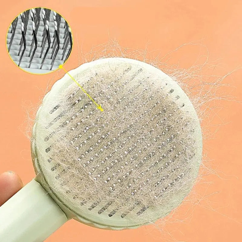 Brosse lissante autonettoyante