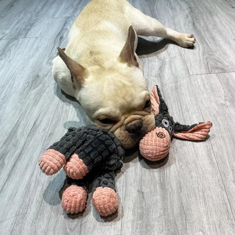 Jouets indestructibles pour chiens