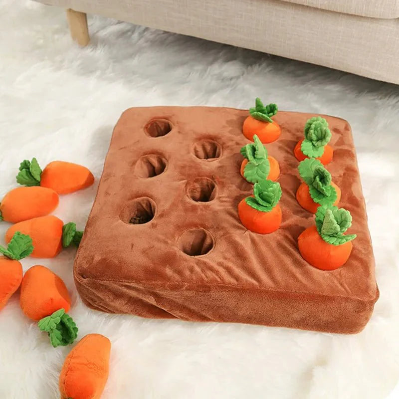 Ferme de carottes