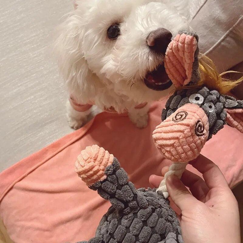 Jouets indestructibles pour chiens