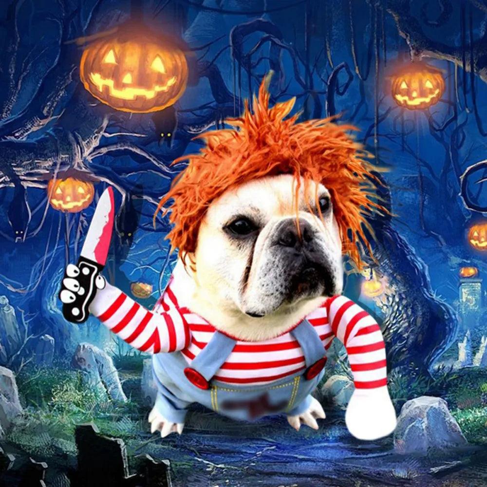 Halloween Dog Costume