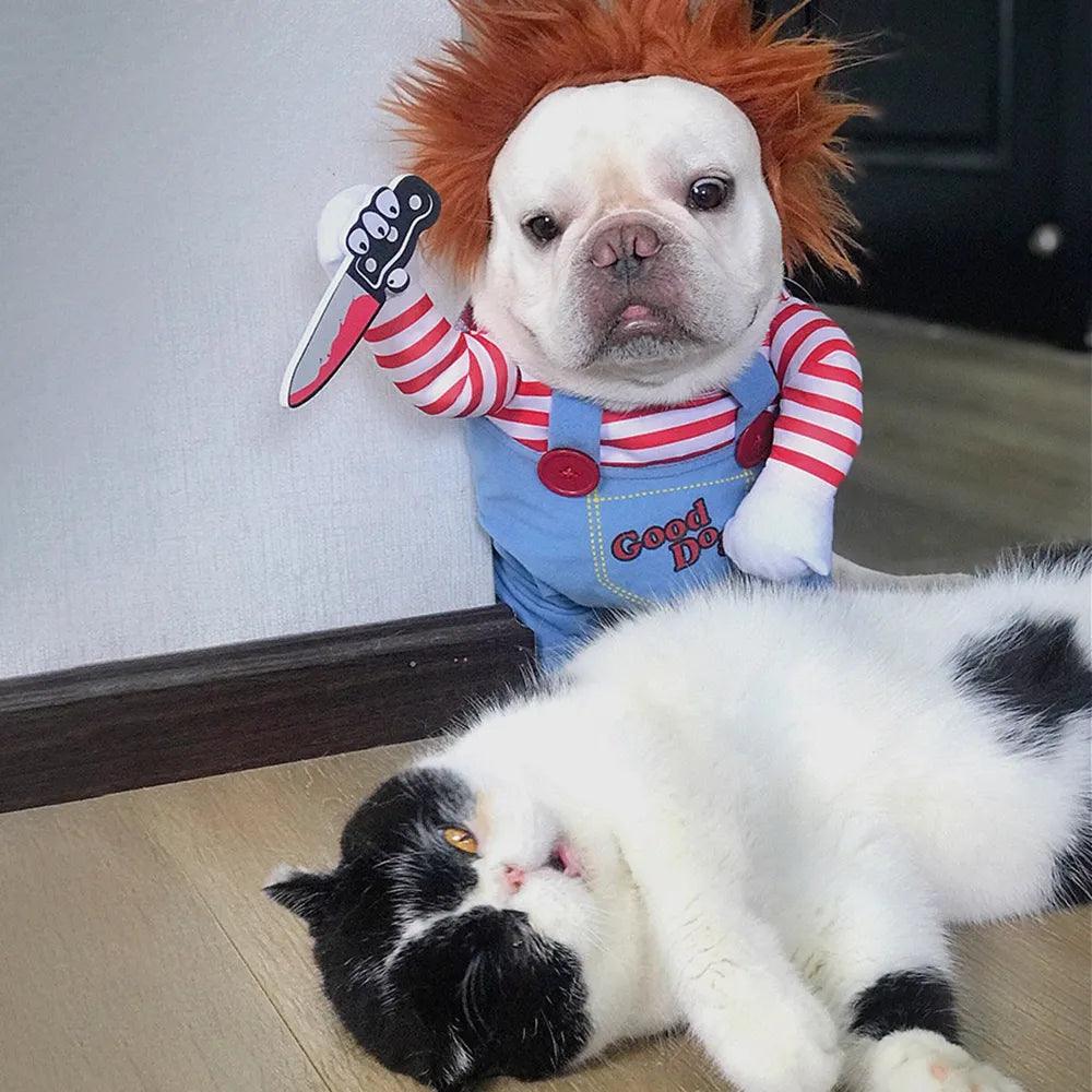 Halloween Dog Costume