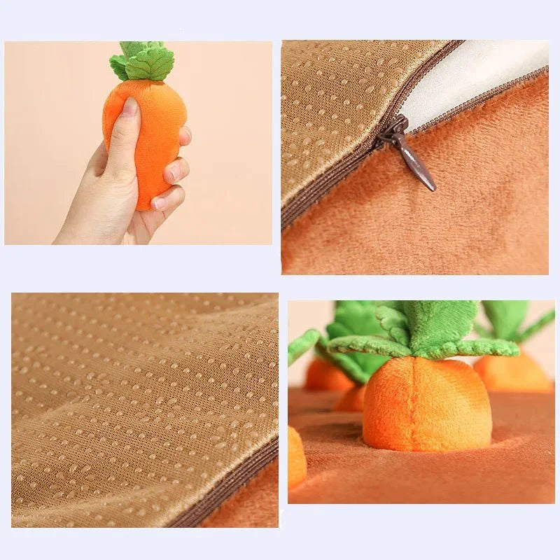 Ferme de carottes