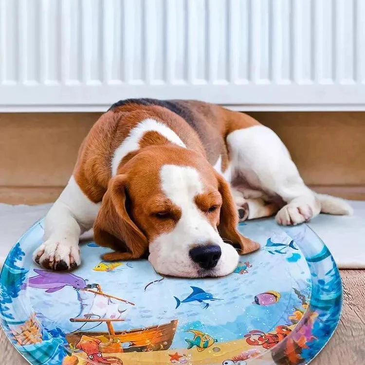 Lit à eau pour animaux de compagnie™