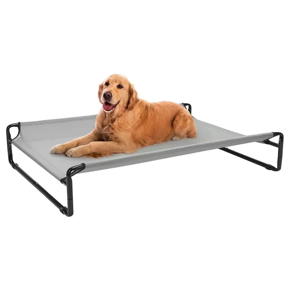 Lit surélevé pour chien