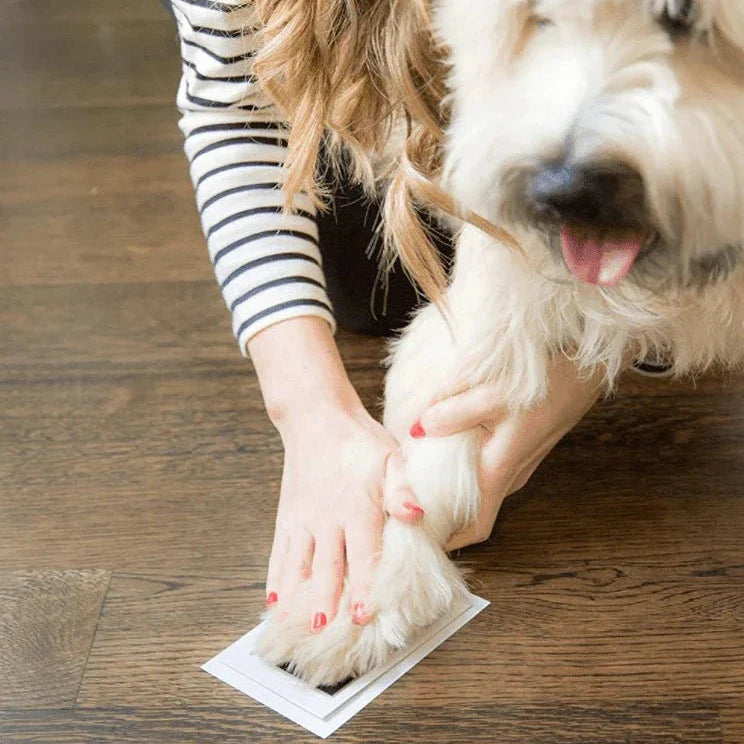 Tampon encreur à empreintes de pattes