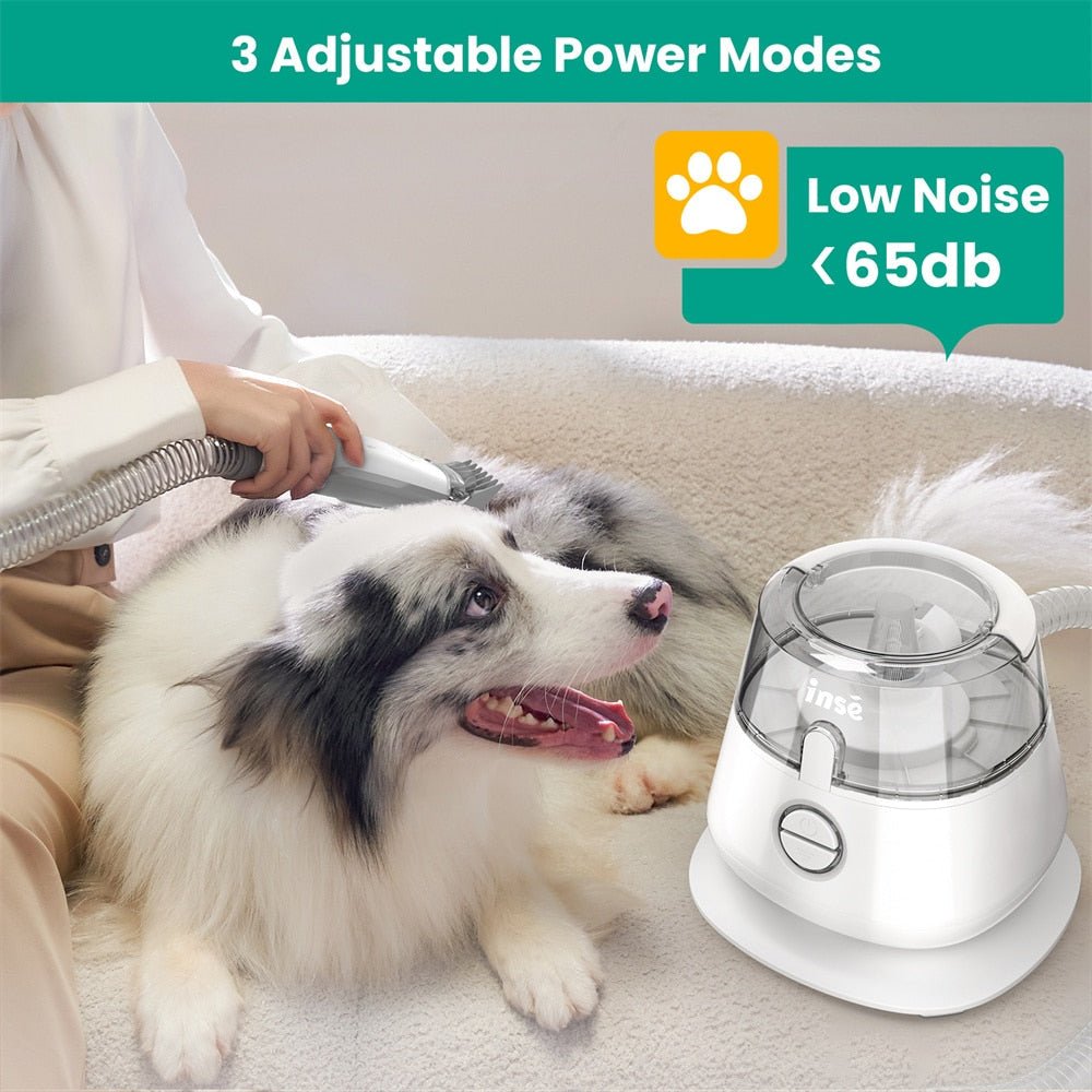 Aspirateur de toilettage professionnel