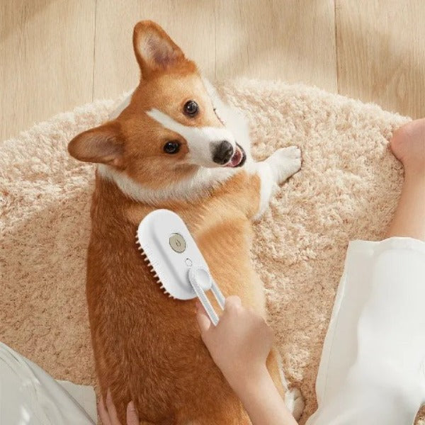 Brosse à vapeur 3 en 1 pour animaux de compagnie