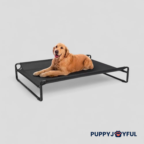 Lit surélevé pour chien