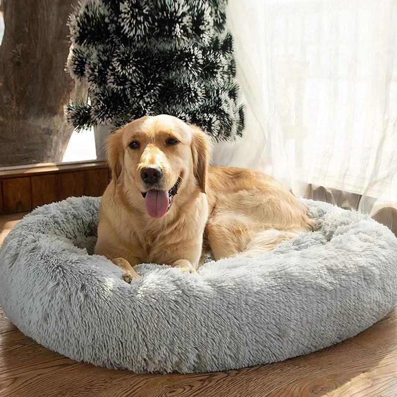 Lit apaisant pour chien