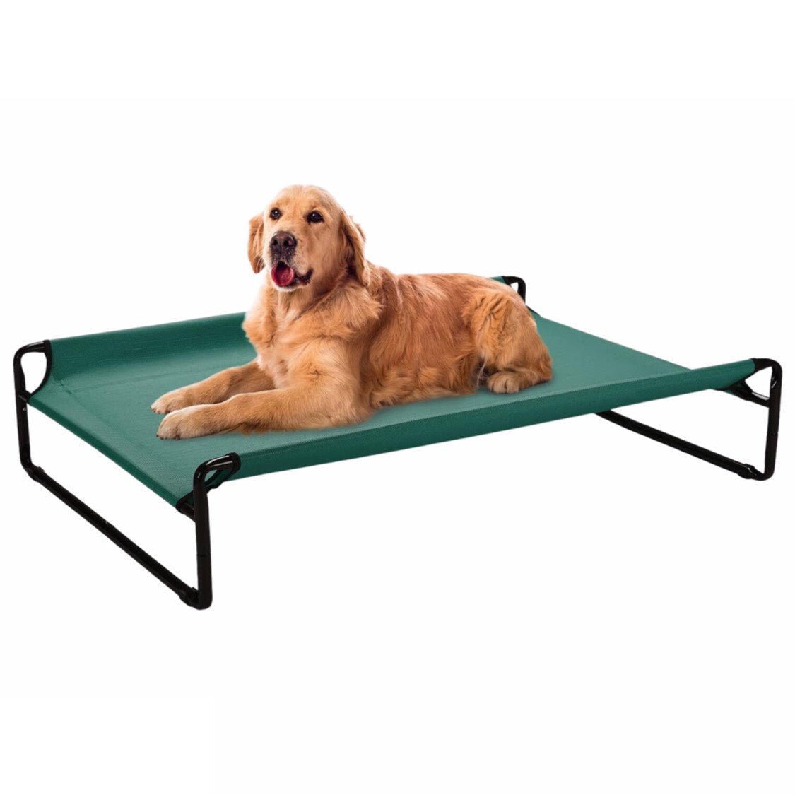 Lit surélevé pour chien