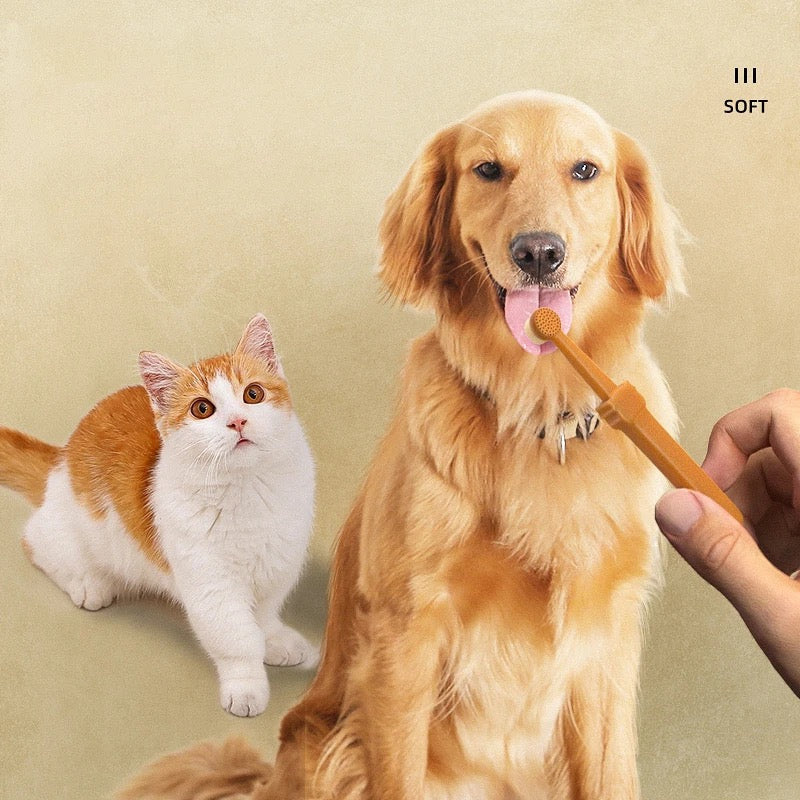 Brosse à dents pour animaux de compagnie
