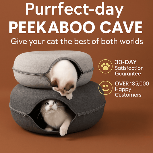 Cat cave that supports hiding, stalking and ambush play