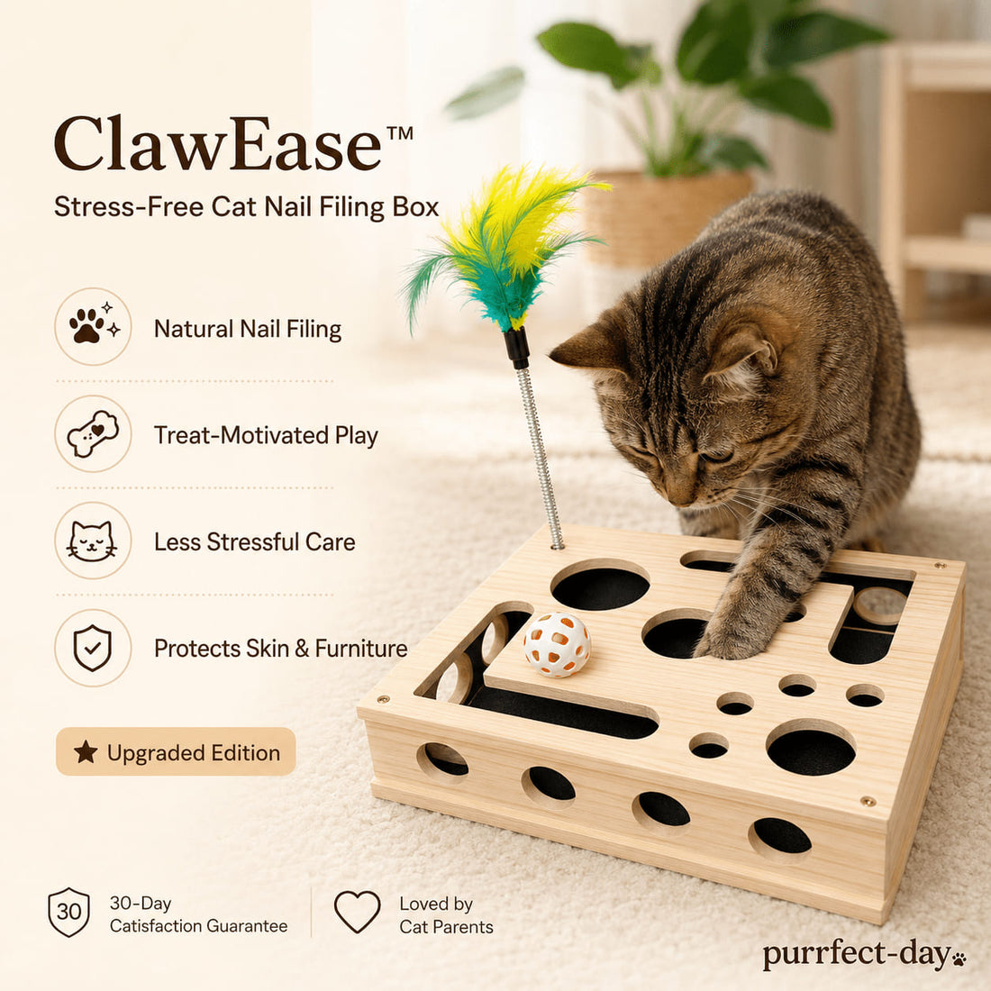 ClawEase cat nail filing box
