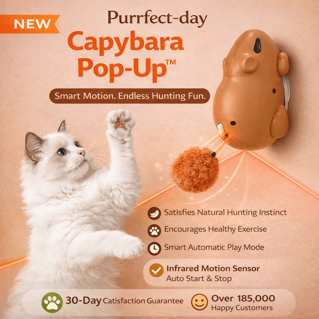 Capybara Pop-Up vertical mounted interactive cat toy