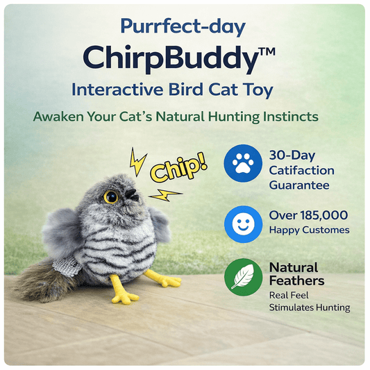 ChirpBuddy interactive bird cat toy with chirping and motion-activated play