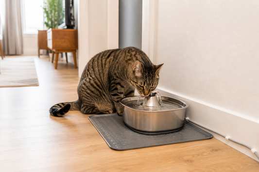 Tabby cat drinking from a water fountain placed on a level mat in a quiet apartment corner