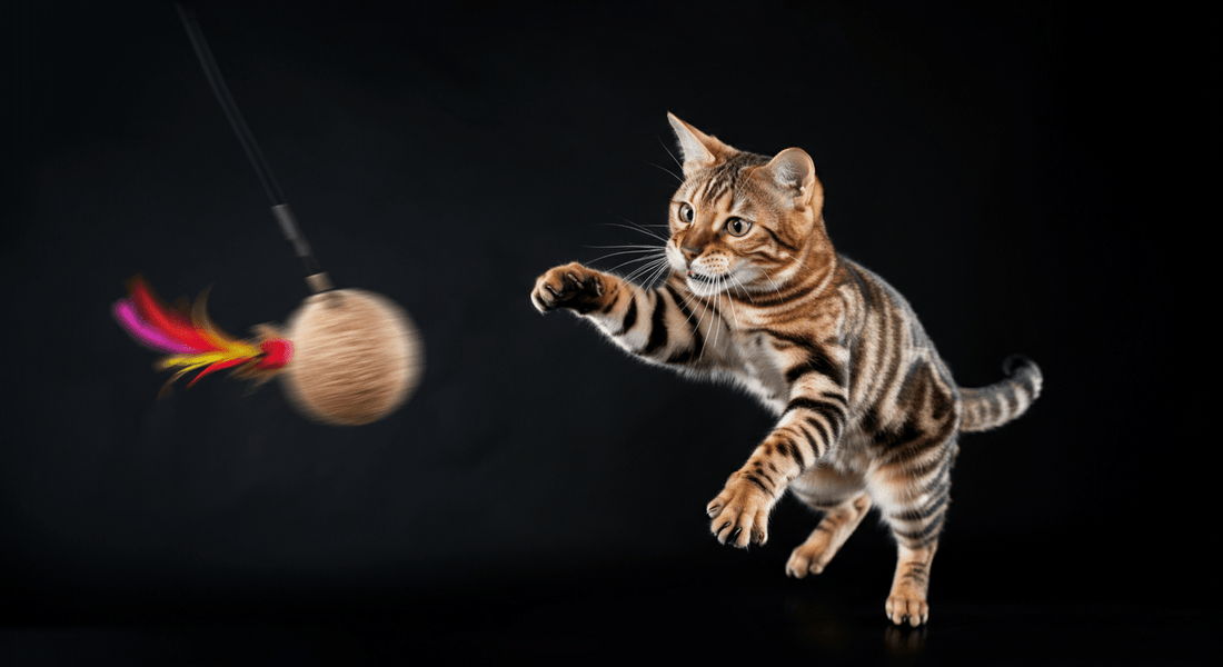 The Best Toys for High-Energy Cats and Active Kittens - Purrfect-day