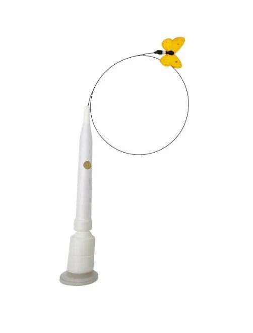Wild Wing Chase™ for cats | Purrfect - day