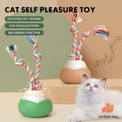 ROTATING BALL CAT TOY