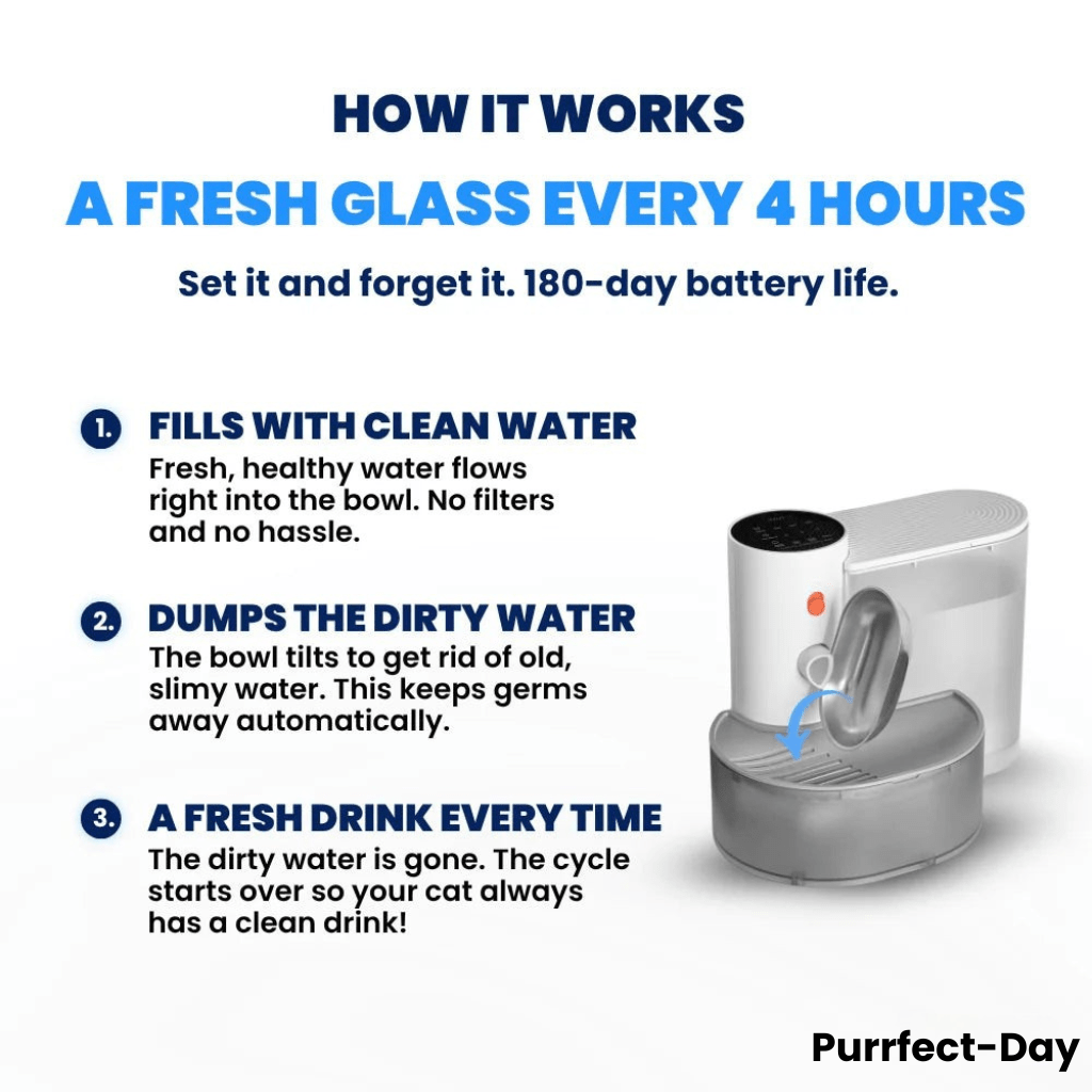 Aqua Bot 2.0 | Filter - Free Cat Water Fountain for cats | Purrfect - day