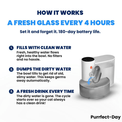 Aqua Bot 2.0 | Filter - Free Cat Water Fountain for cats | Purrfect - day