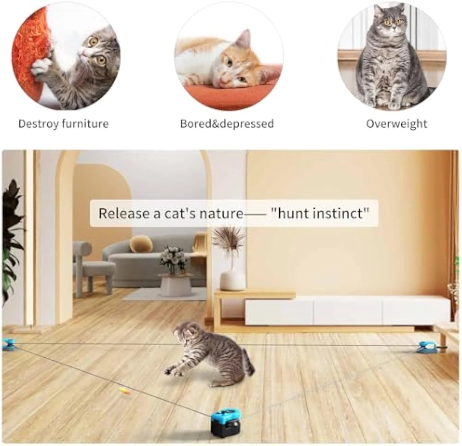 HuntMaster Running cat Toys for cats | Purrfect - day