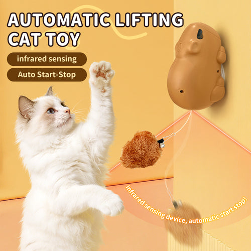 Capybara Pop-Up™ Interactive Cat Toy
