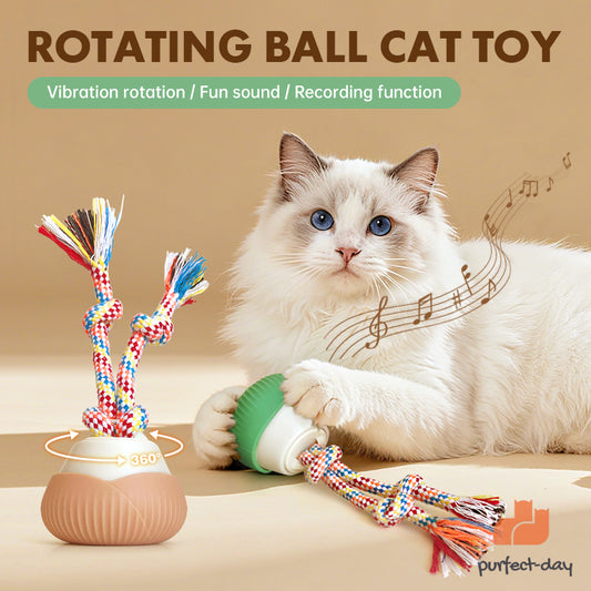 ROTATING BALL CAT TOY