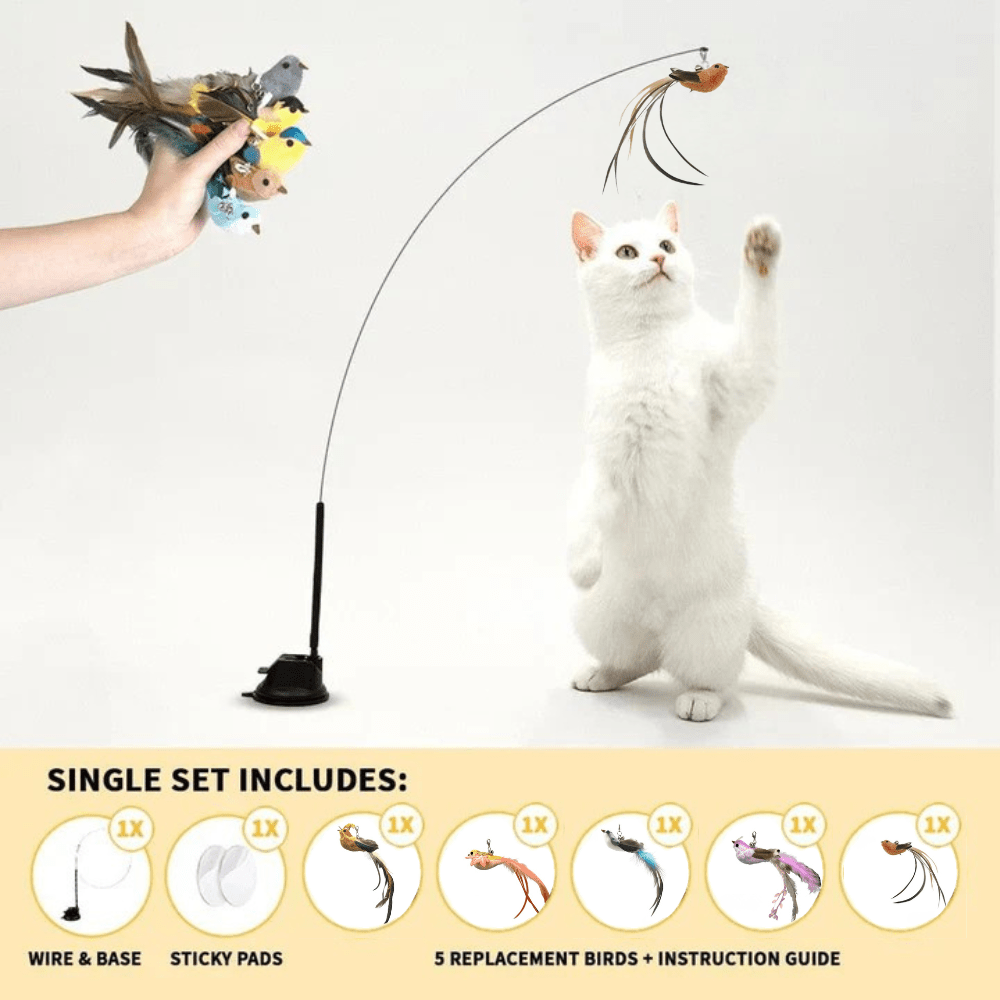 Self - Play Hunting Motion for cats | Purrfect - day
